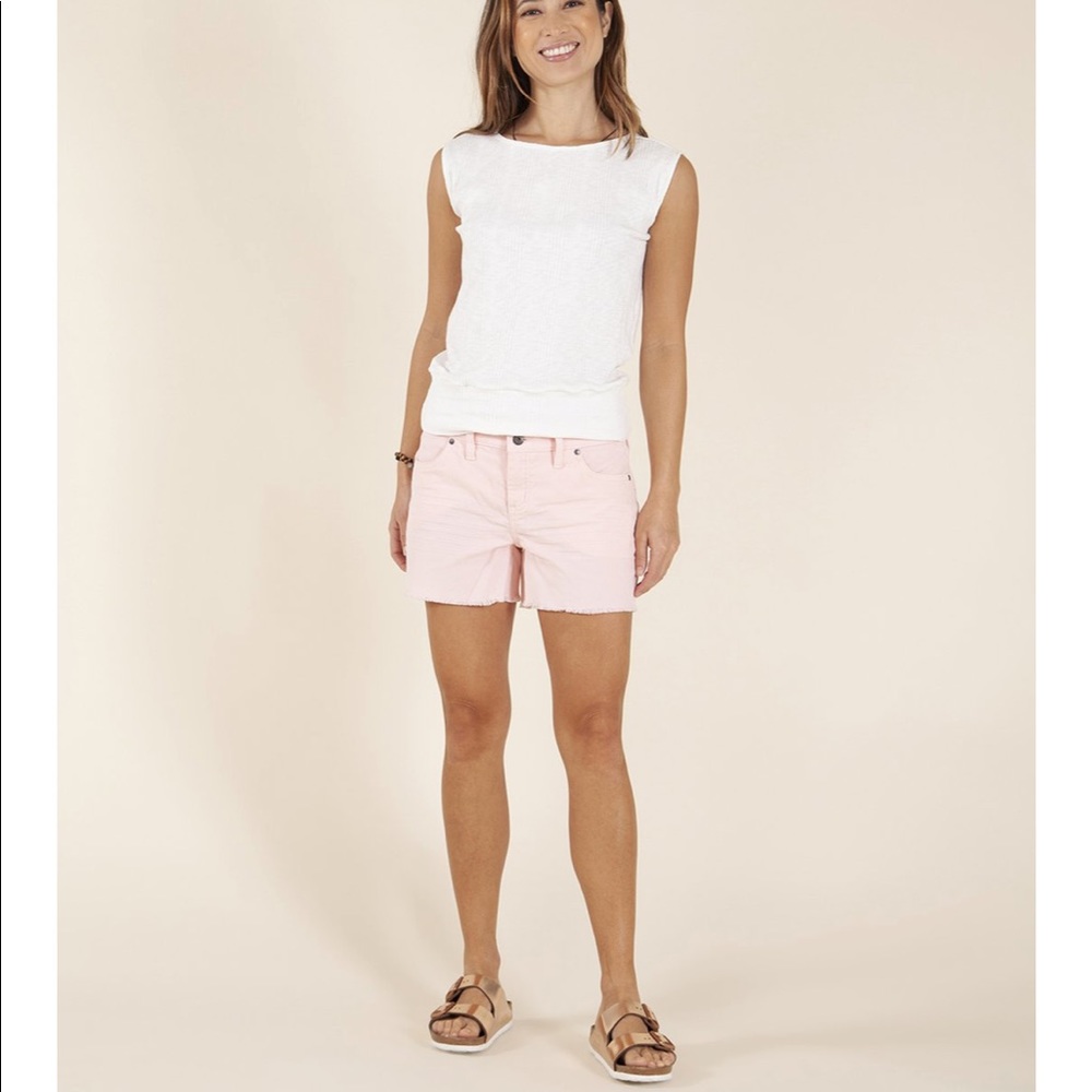Carve Designs ‘Oahu Short’ 4” inseam Like New!